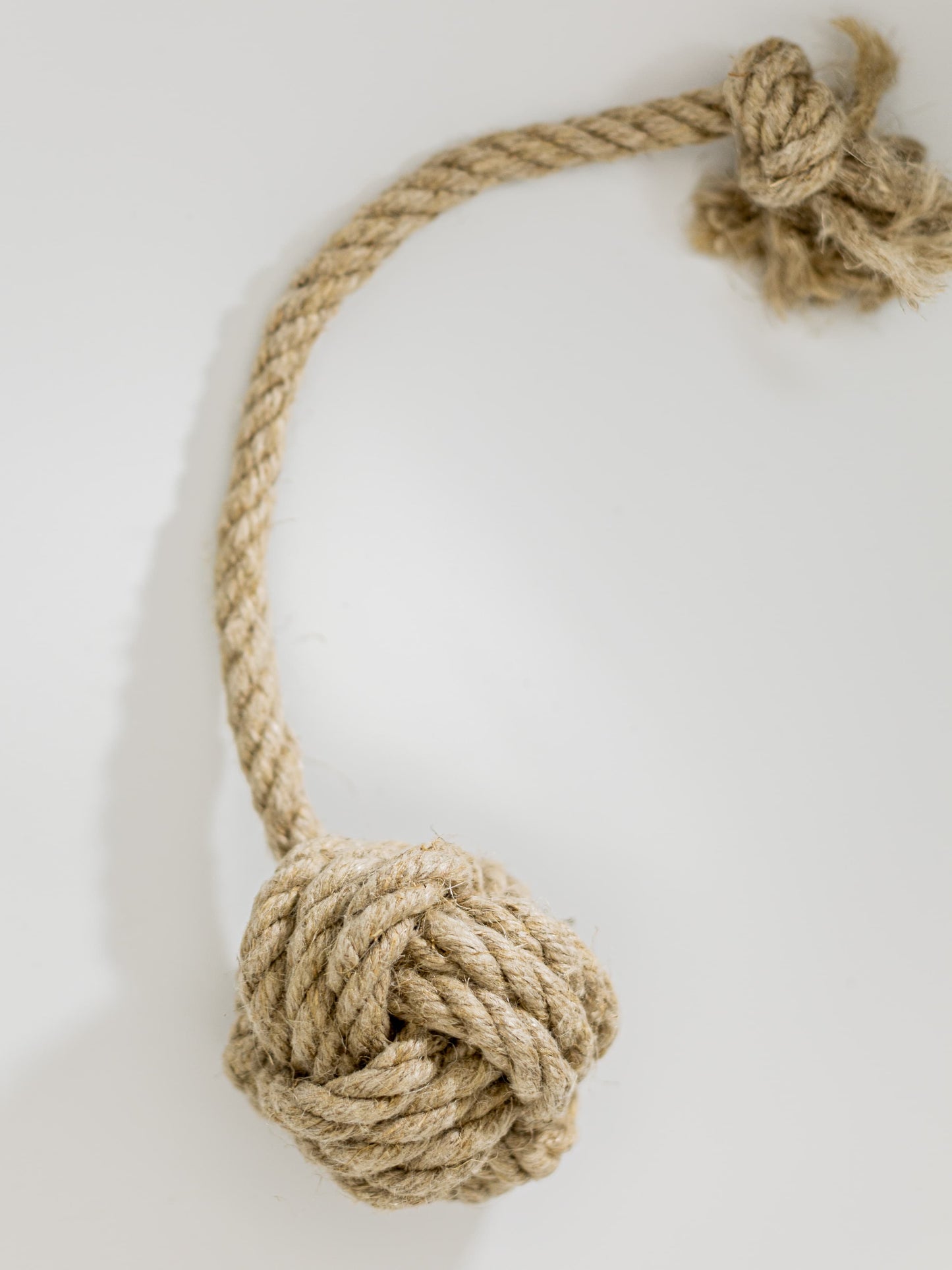 Nachhaltiges Hundespielzeug aus dem Appenzellerland | Studio Wiis