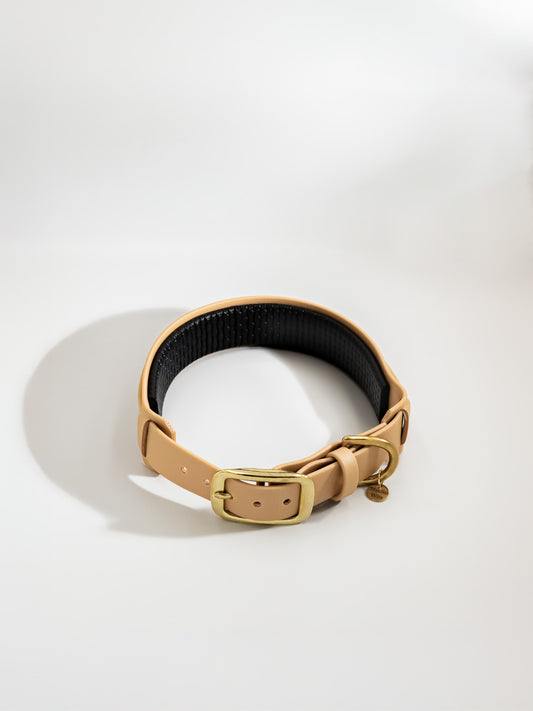 Gepolstertes Hundehalsband aus Biothane | Studio Wiis