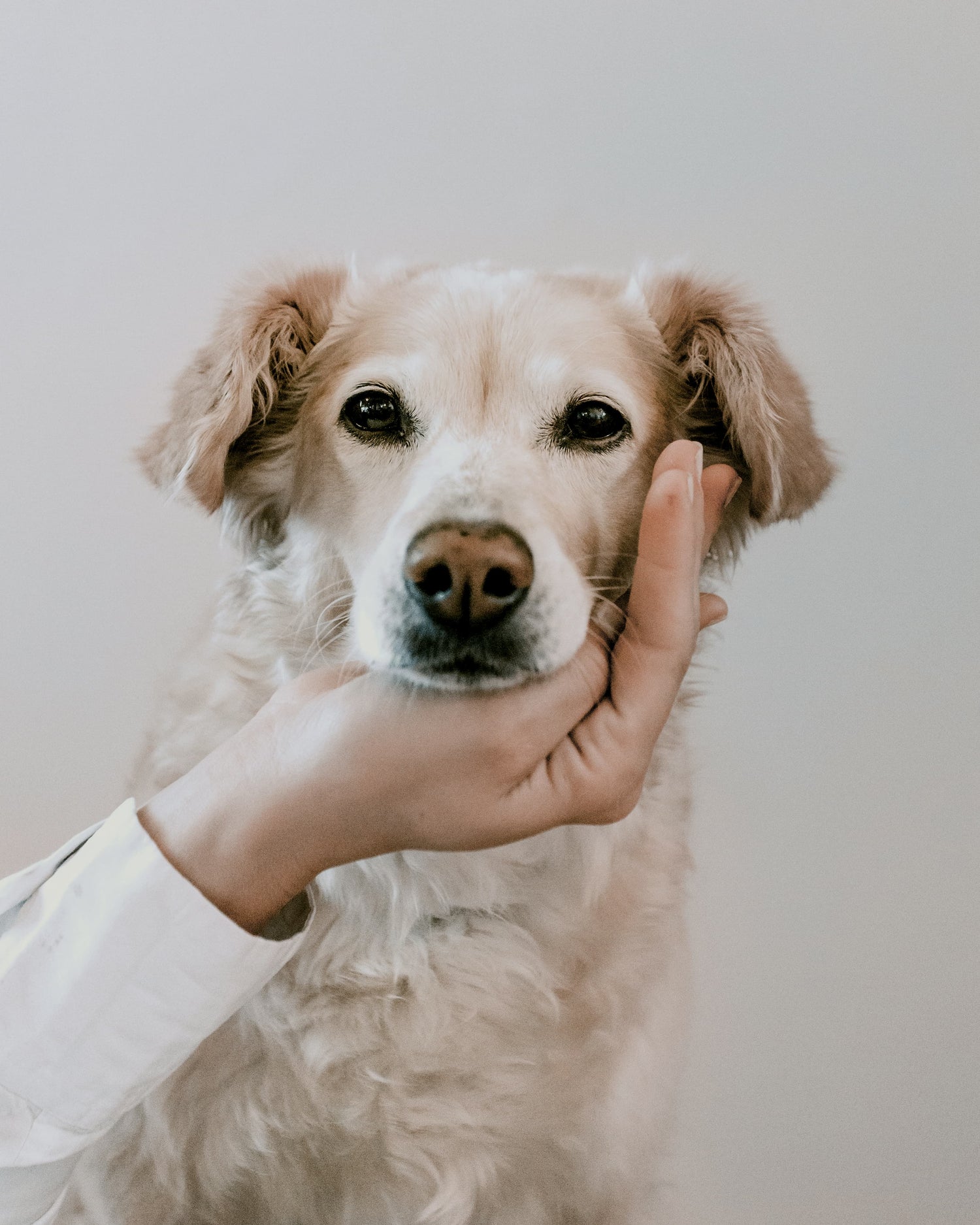 Portrait von Kokoni | Studio Wiis