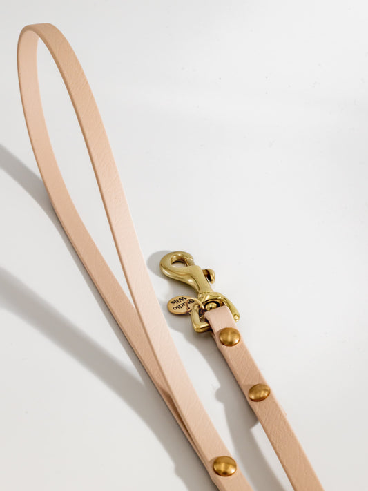 Schlichte beige Biothane-Hundeleine mit Schlaufe für kleine Hunde | Studio Wiis
