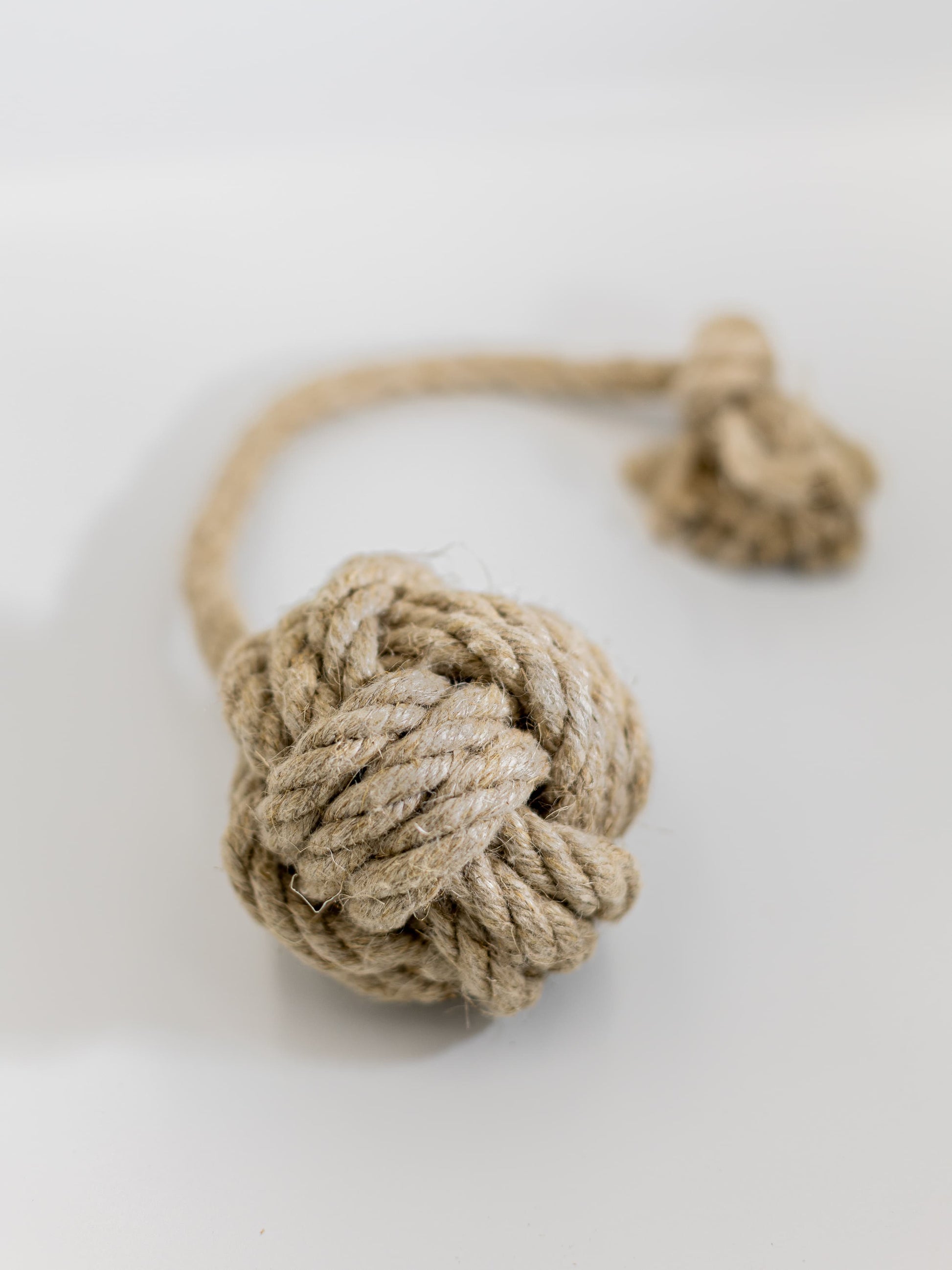 Ball zum Werfen für grosse Hunde | Studio Wiis